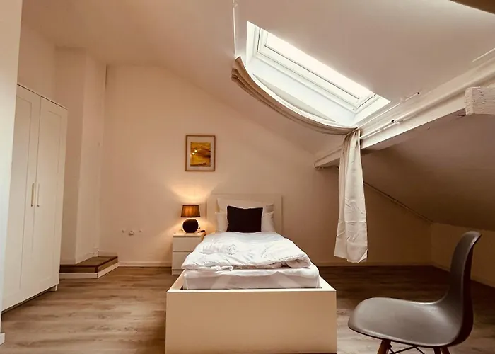 K20 Xxl I 180m2 I Terrasse I Bbq I 7 I 3 Baeder Mettingen (North Rhine-Westphalia)